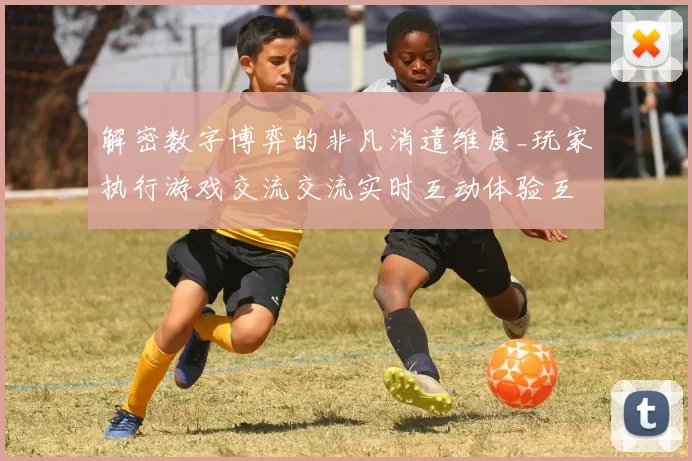 解密数字博弈的非凡消遣维度_玩家执行游戏交流交流实时互动体验互动体验与落注场所创新的深度探索