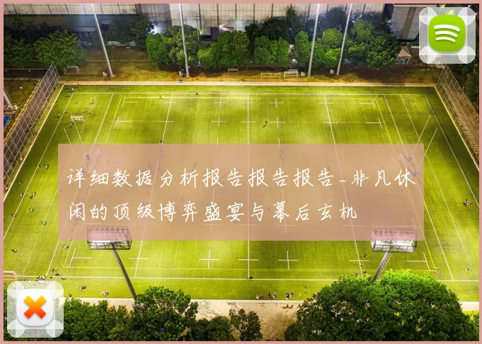 详细数据分析报告报告报告_非凡休闲的顶级博弈盛宴与幕后玄机