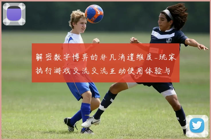 解密数字博弈的非凡消遣维度_玩家执行游戏交流交流互动使用体验与投注场所创新的深度探索