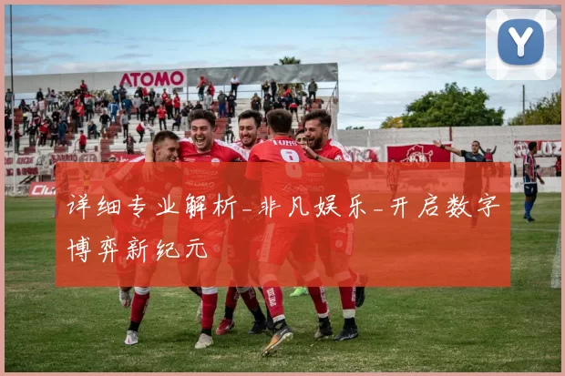 详细专业解析_非凡娱乐_开启数字博弈新纪元