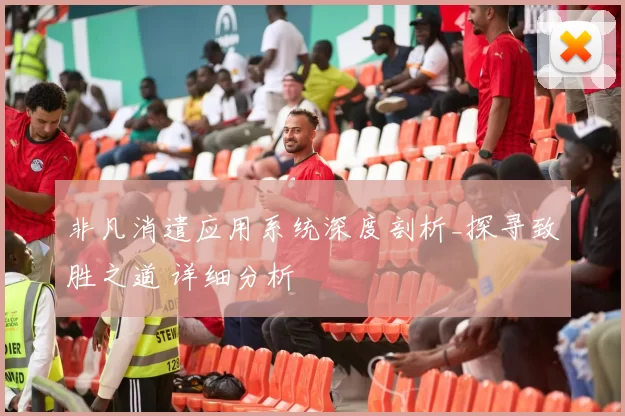 非凡消遣应用系统深度剖析_探寻致胜之道 详细分析