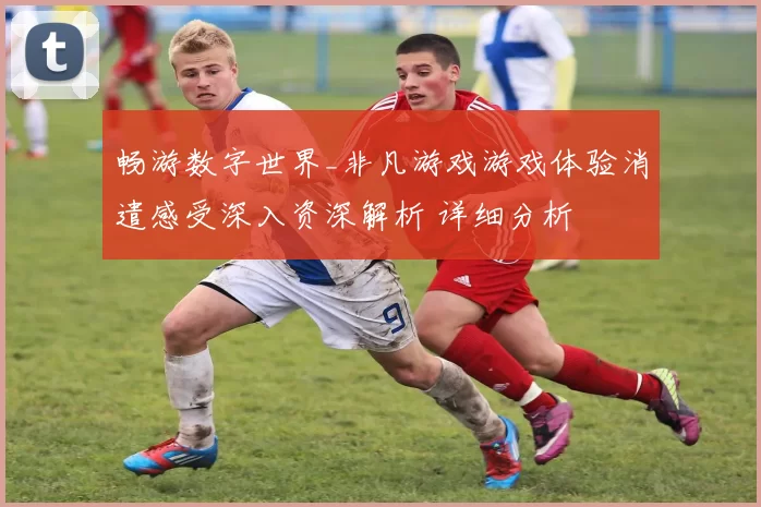 畅游数字世界_非凡游戏游戏体验消遣感受深入资深解析 详细分析
