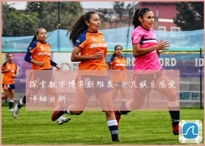 探索数字博弈新维度_非凡娱乐感受详细分析