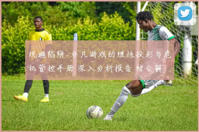 规避陷阱_非凡游戏的理性投彩与危机管控手册 深入分析报告 综合解读