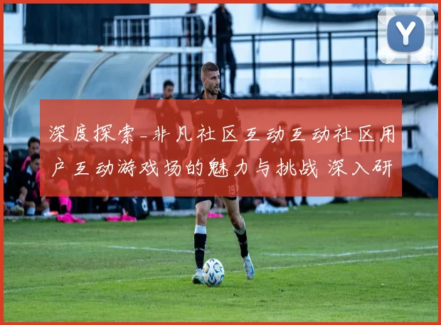 深度探索_非凡社区互动互动社区用户互动游戏场的魅力与挑战 深入研判