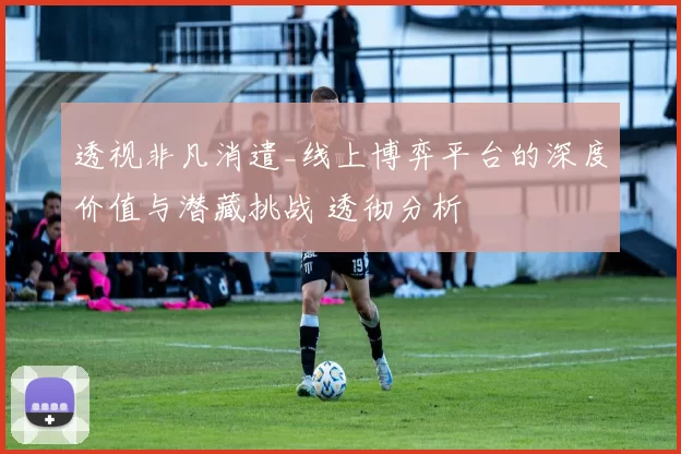 透视非凡消遣_线上博弈平台的深度价值与潜藏挑战 透彻分析