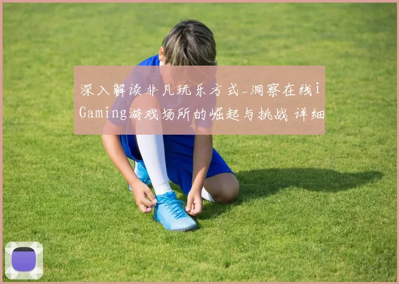 深入解读非凡玩乐方式_洞察在线iGaming游戏场所的崛起与挑战 详细分析