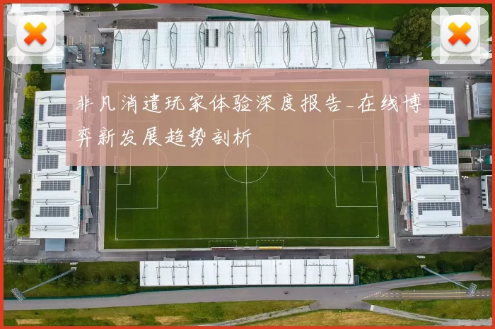 非凡消遣玩家体验深度报告_在线博弈新发展趋势剖析