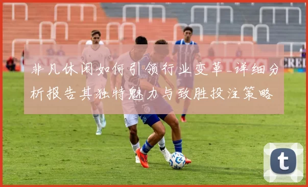 非凡休闲如何引领行业变革_详细分析报告其独特魅力与致胜投注策略