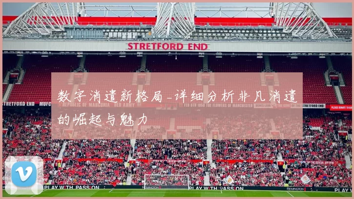 数字消遣新格局_详细分析非凡消遣的崛起与魅力