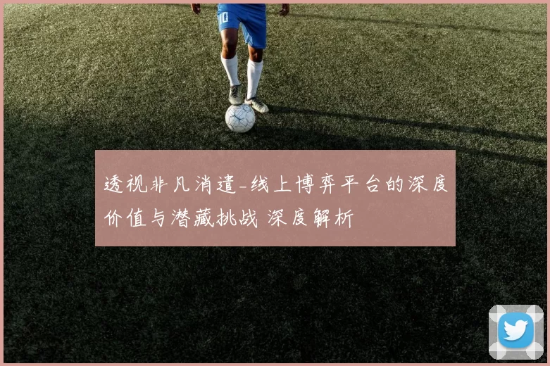 透视非凡消遣_线上博弈平台的深度价值与潜藏挑战 深度解析
