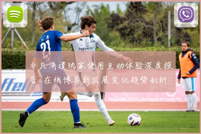 非凡消遣玩家使用互动体验深度报告_在线博弈新发展变化趋势剖析