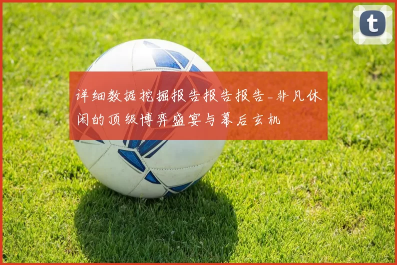 详细数据挖掘报告报告报告_非凡休闲的顶级博弈盛宴与幕后玄机